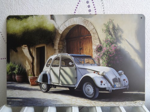 Tole metal citroen 20 - tole, cv