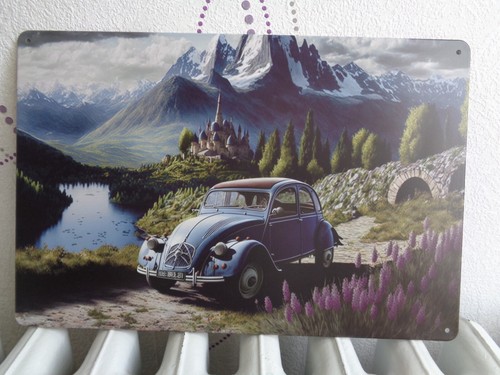 Tole metal citroen diane - metal, 2